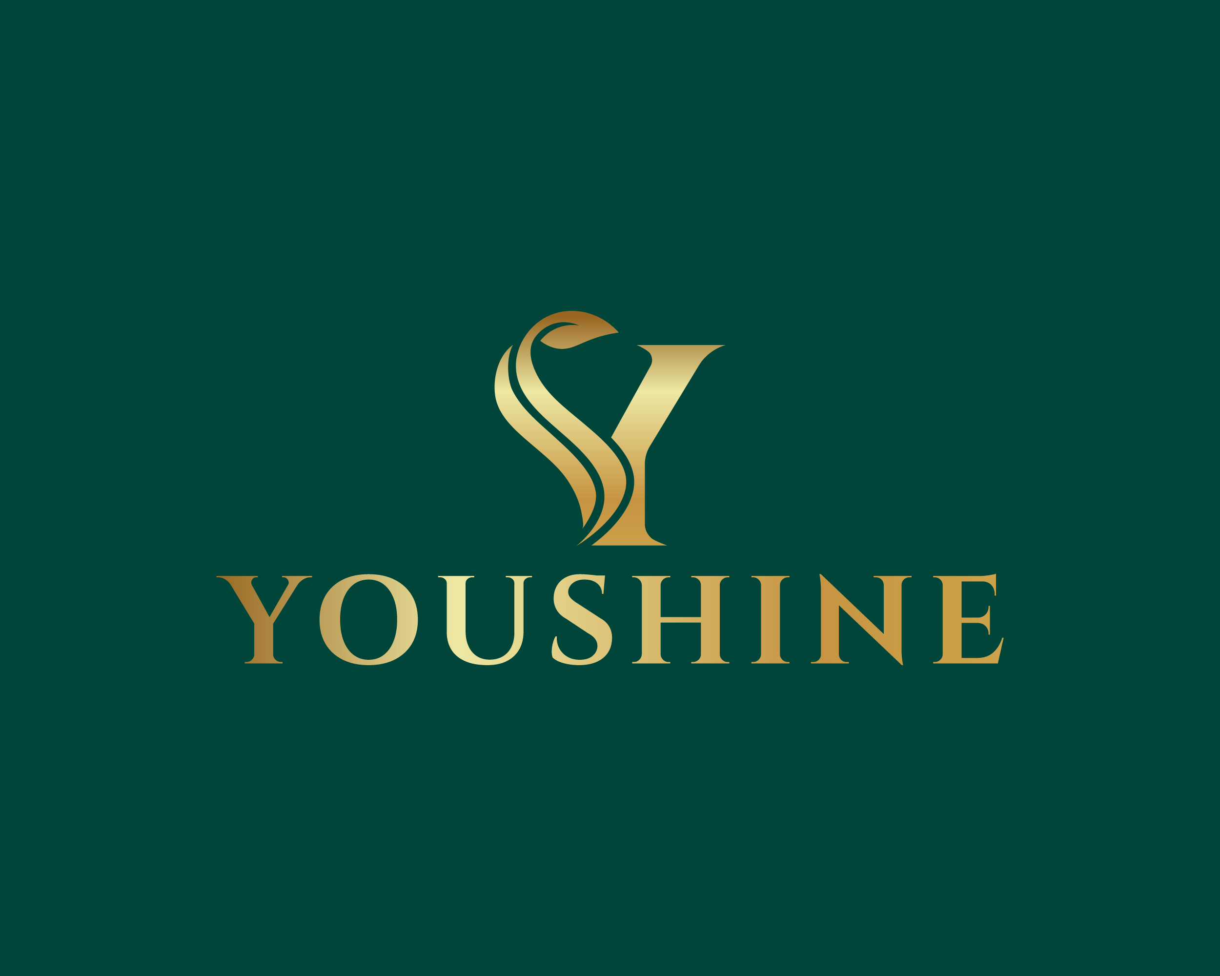 YouShine Training